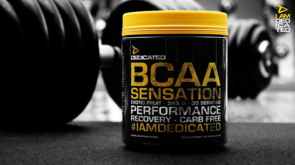 Bcaa Sensation ist ein Nahrungsergänzungsmittel auf Basis von verzweigtkettigen Aminosäuren und Citrullin, ideal zur Verbesserung der Leistung und Muskelregeneration.