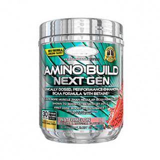 Amino Build Next Gen 279g muscletech