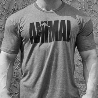 Animal Iconic T-Shirt Grey