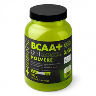 bcaa+ 8:1:1 kyowa 300g +watt