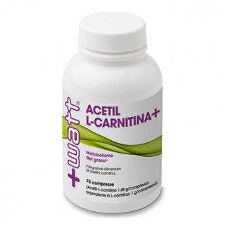 acetil l-carnitina 75cps +watt