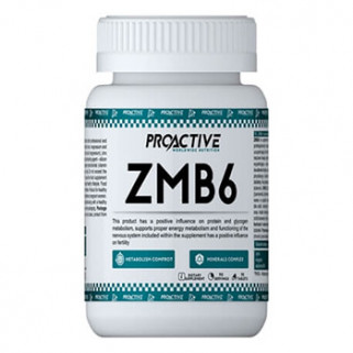 ProActive ZMB6 90tabs Zink, Magnesium und Pyridoxin